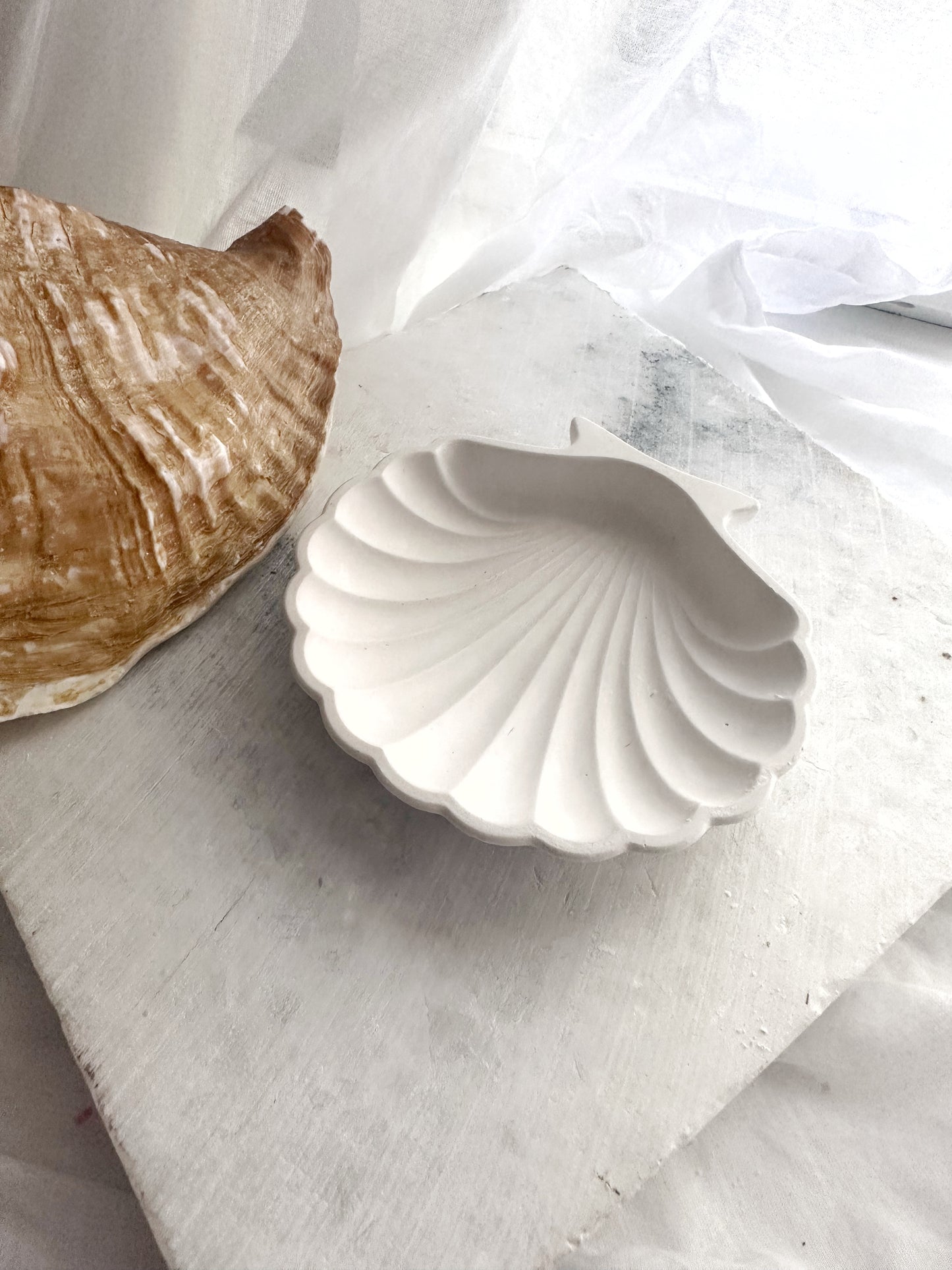 Sea Shell, Concrete Trinket Tray, Beach Candle Holder, Shell Jewelry Dish