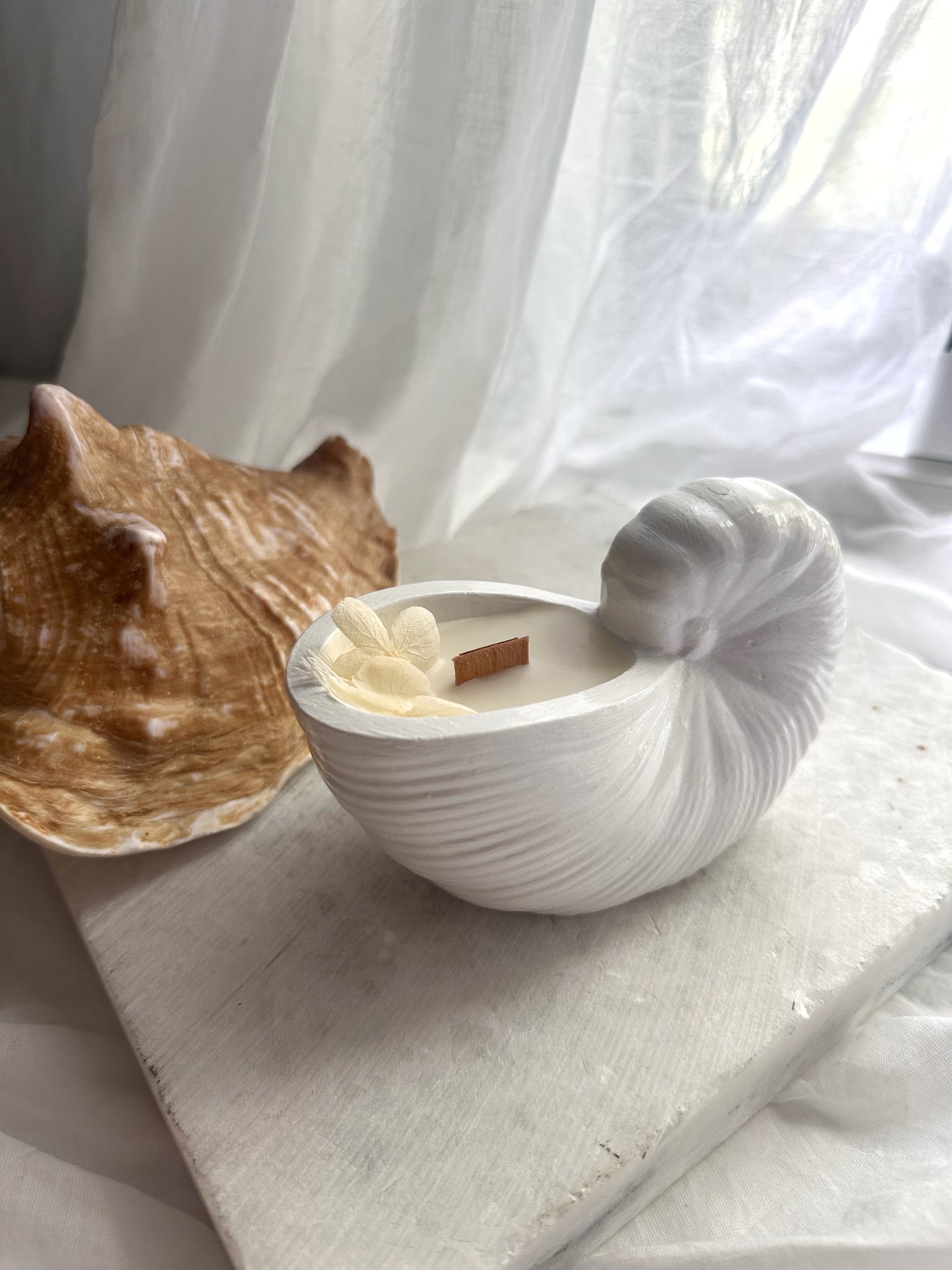 Seashell Scented Vessel