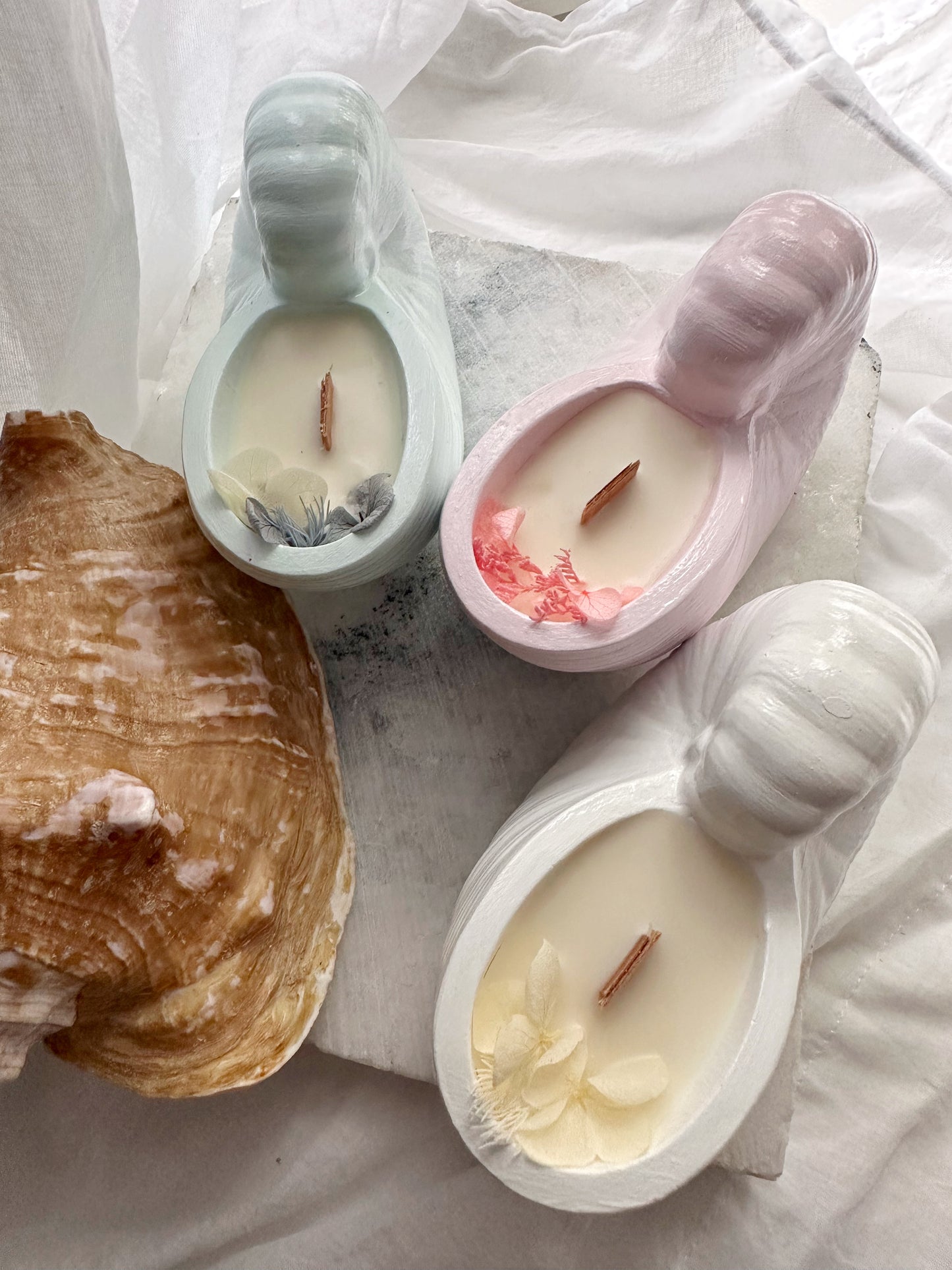 Seashell Scented Vessel