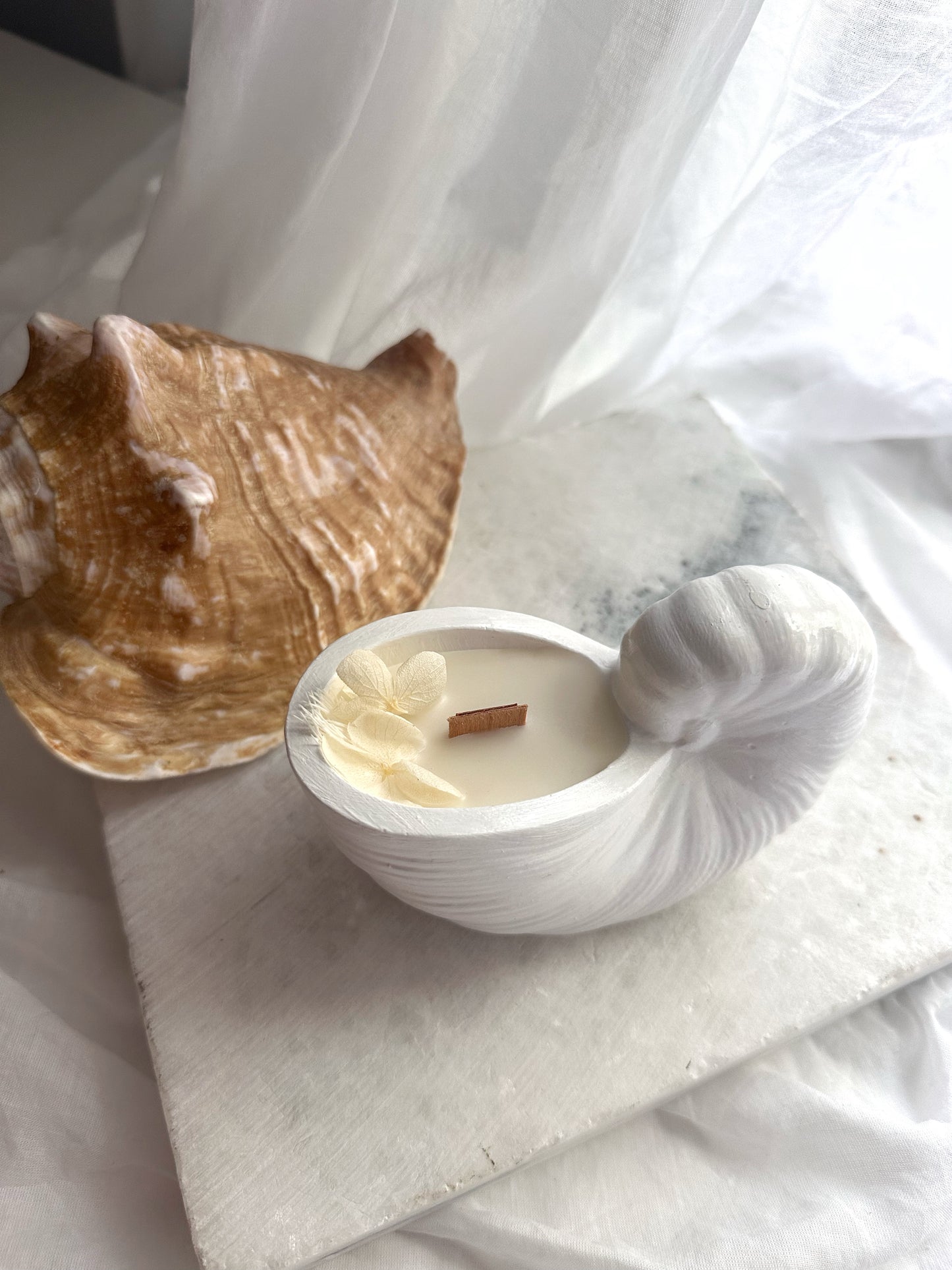 Seashell Scented Vessel