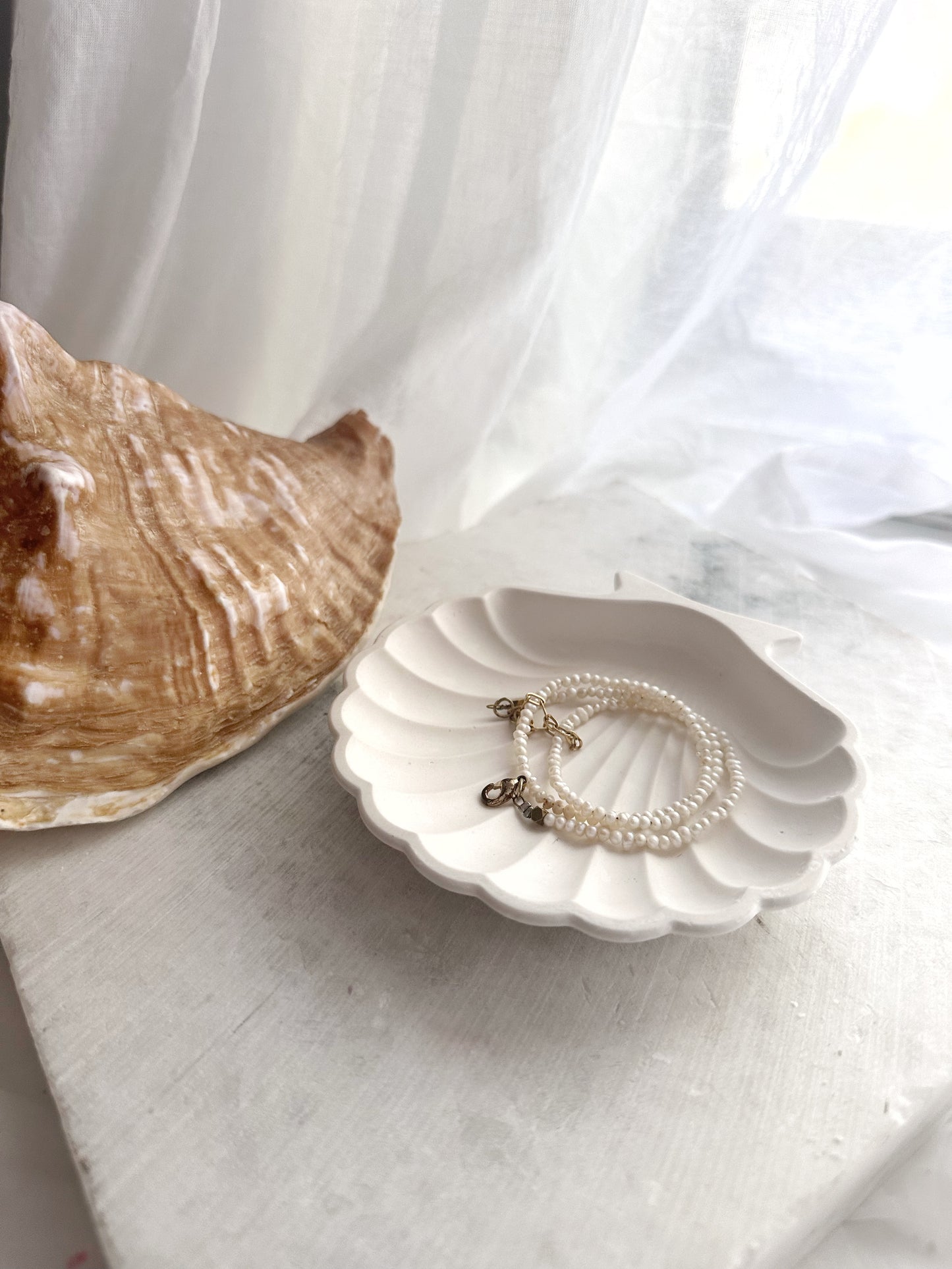 Sea Shell, Concrete Trinket Tray, Beach Candle Holder, Shell Jewelry Dish
