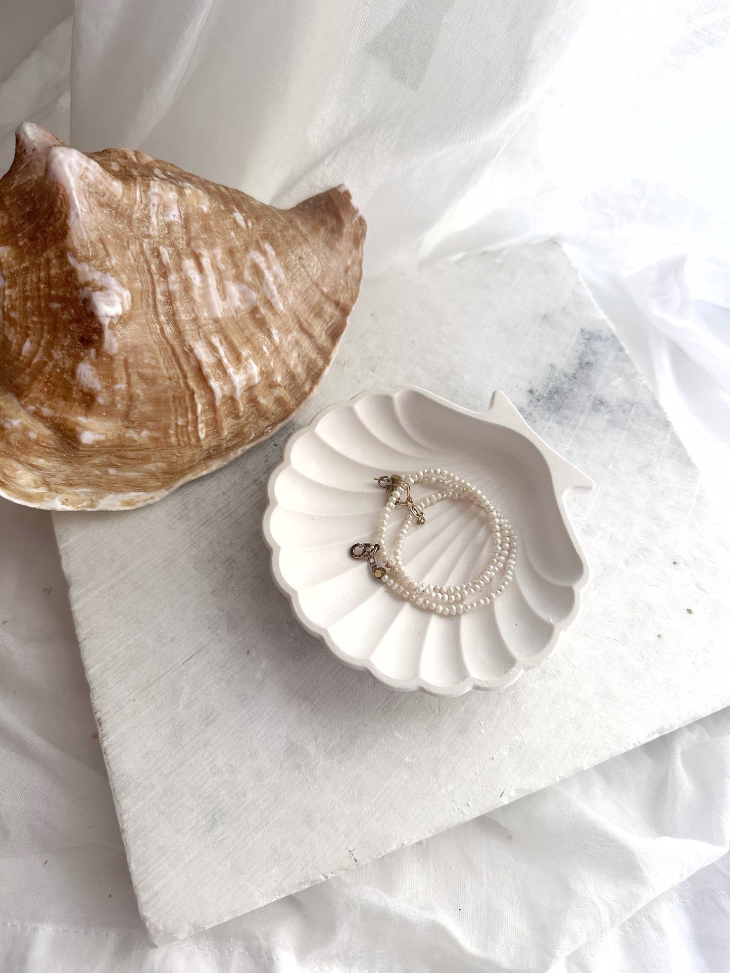 Sea Shell, Concrete Trinket Tray, Beach Candle Holder, Shell Jewelry Dish