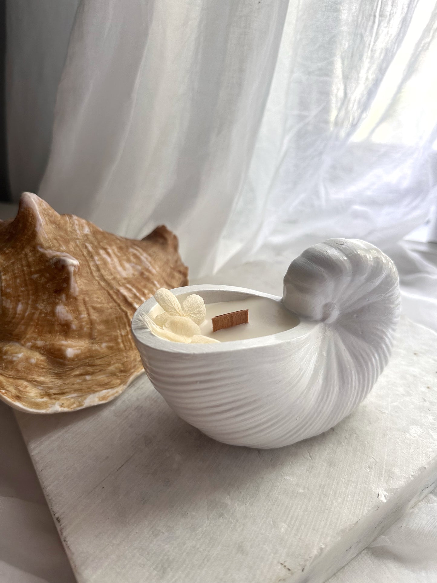 Seashell Scented Vessel