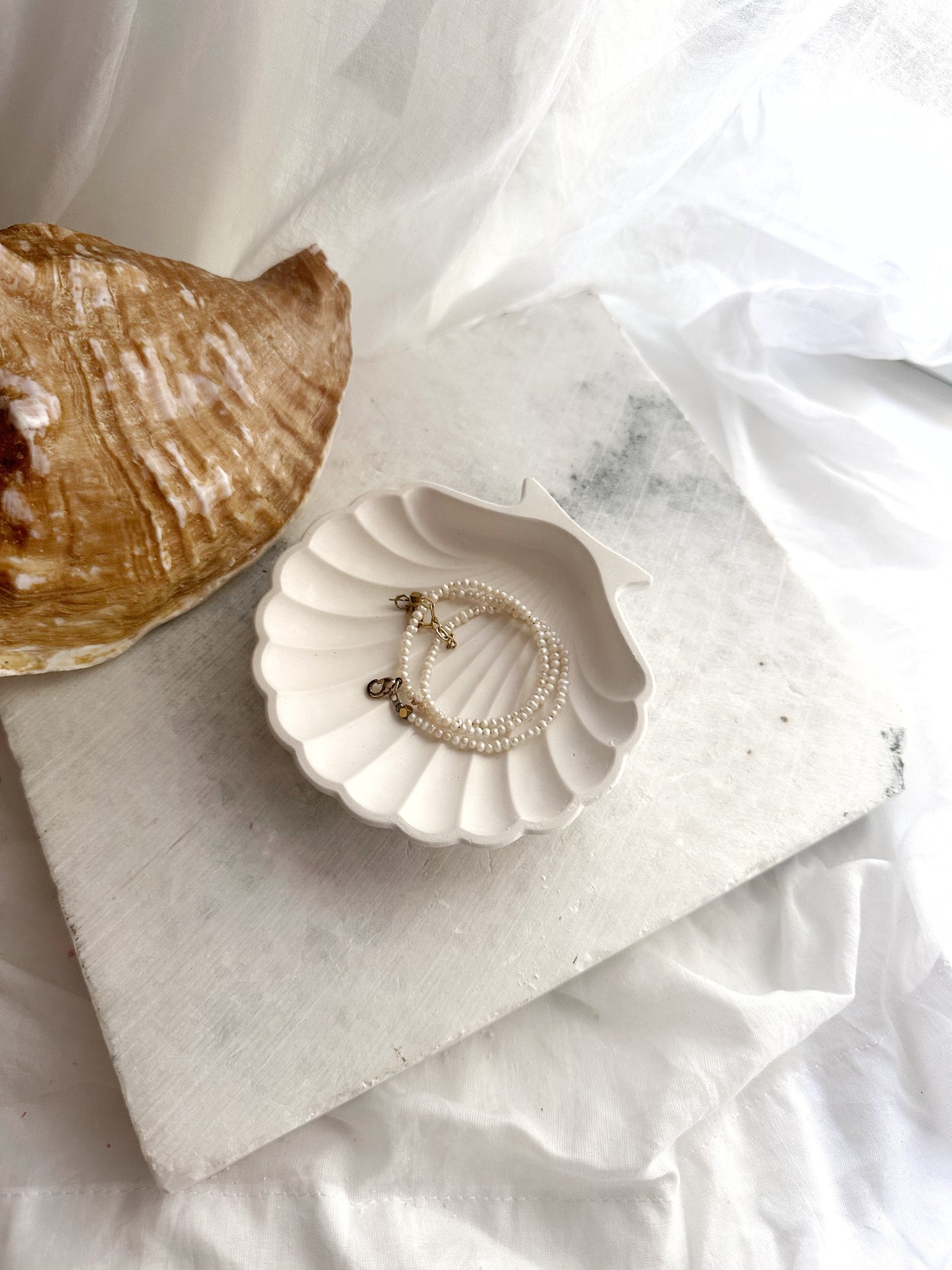 Sea Shell, Concrete Trinket Tray, Beach Candle Holder, Shell Jewelry Dish