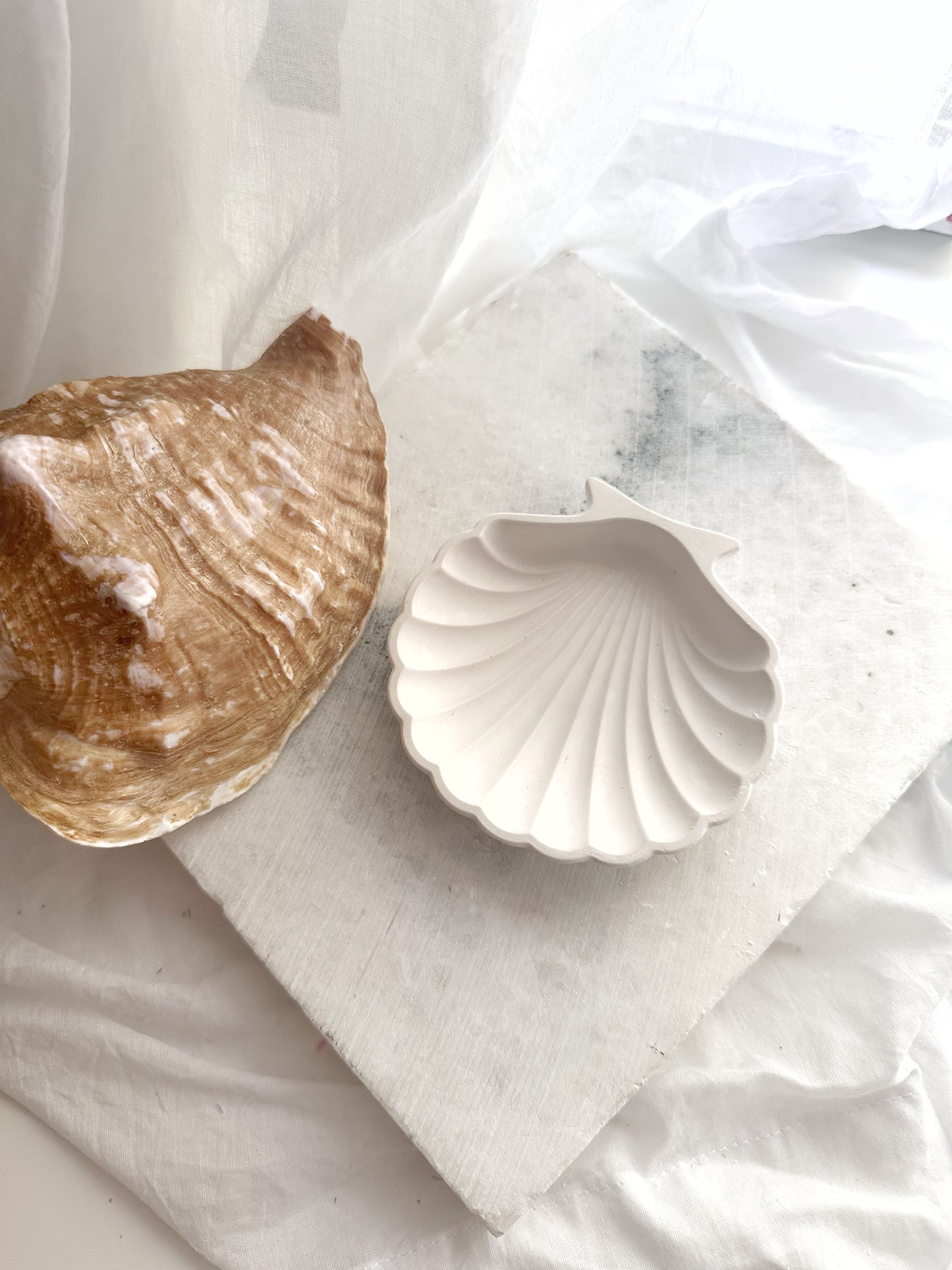 Sea Shell, Concrete Trinket Tray, Beach Candle Holder, Shell Jewelry Dish
